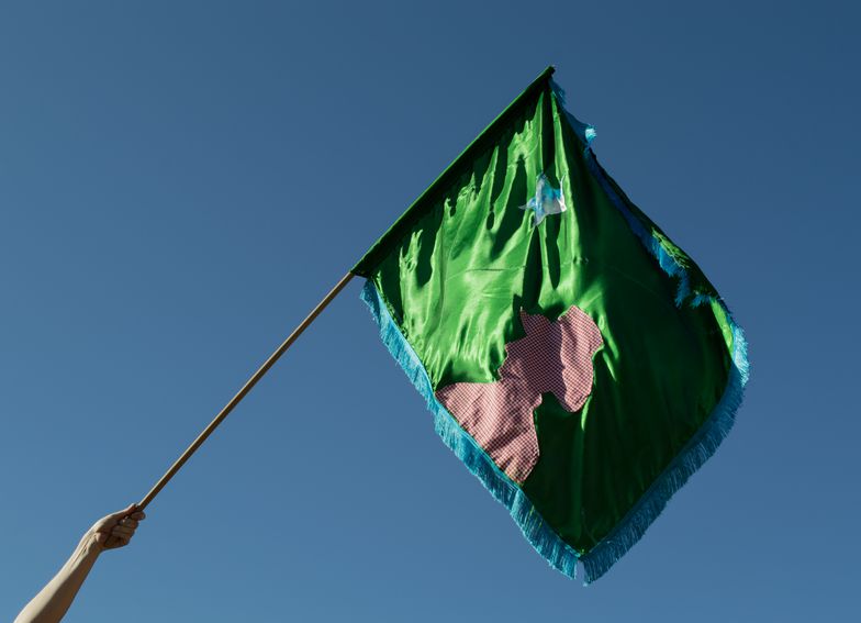 Flynn Flag
